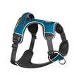 Mesa Harness