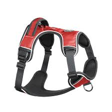 Harnais pour chien Mesa