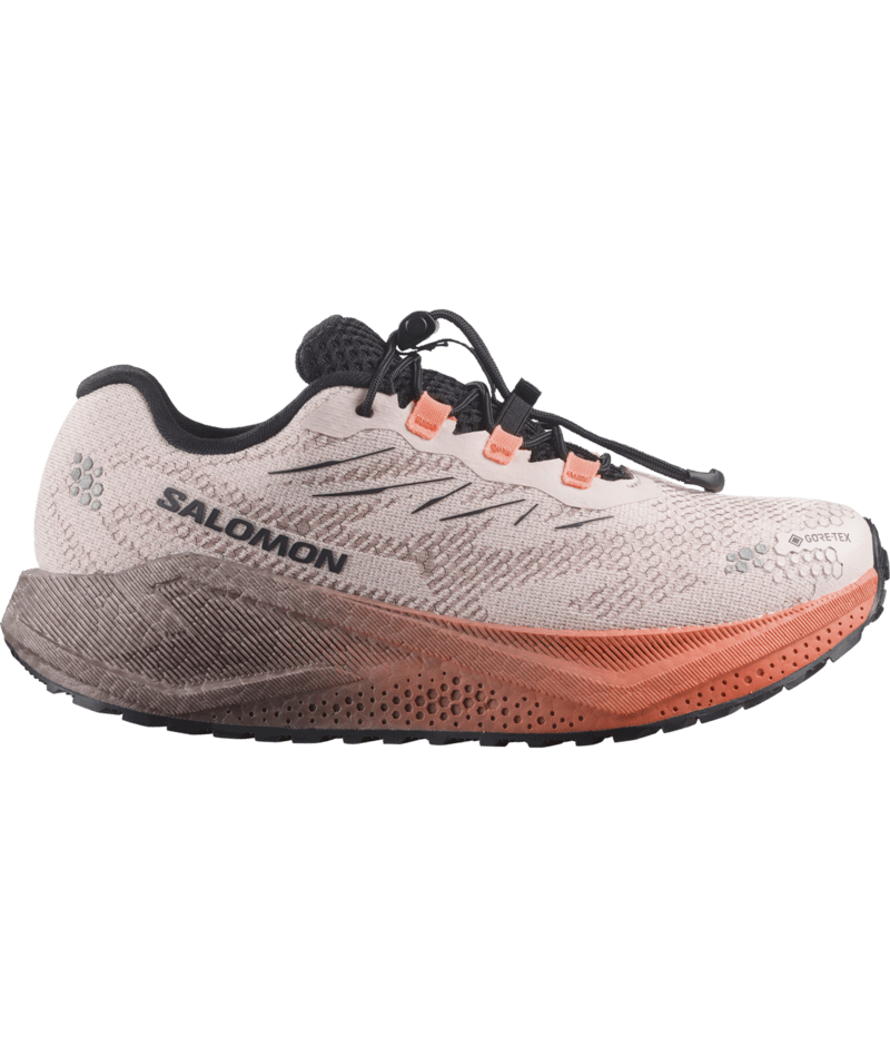 Chaussures de course Aero Blaze 4 Grvl Gtx - Femme