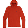 Chandail Manche Longue Alpine Onset Merino 150 Hoodie - Homme