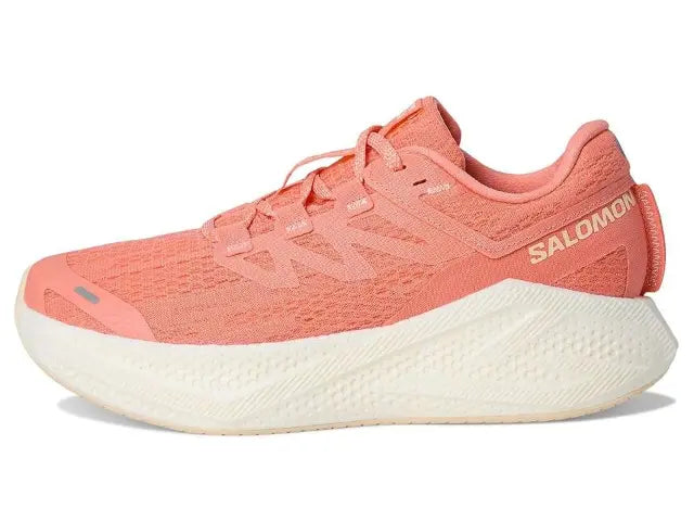 Chaussure De Course De Sentier Aero Glide 3 Grvl- Femme