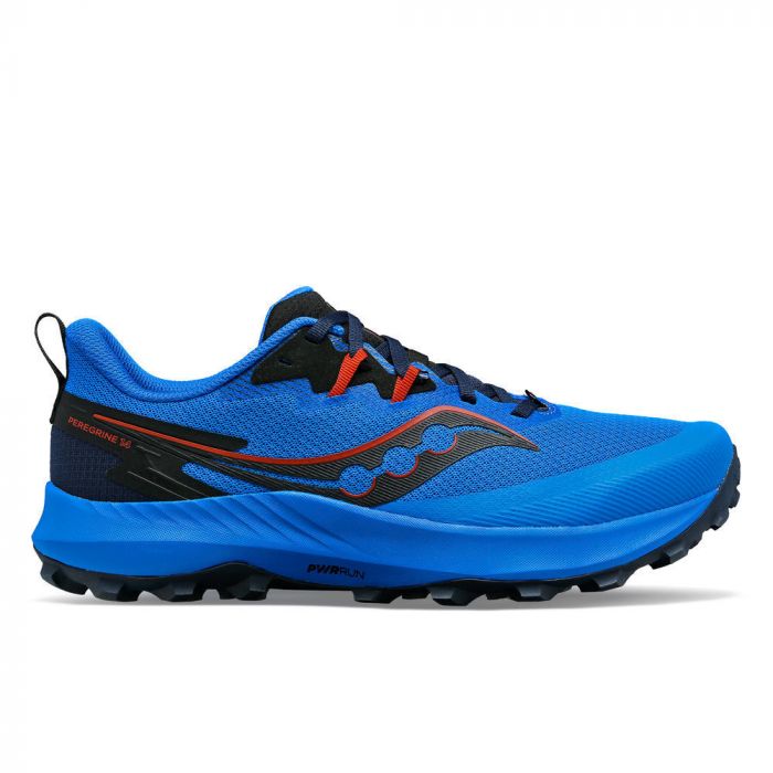 Chaussure Peregrine 14 (Homme)