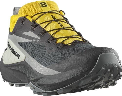 Chaussure De Sentier Genesis Gtx - Homme